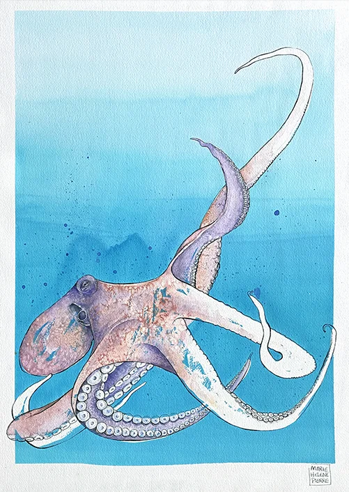 Octopus, aquarelle sur papier Arches, 18x24 · Référence MHP-FRAGMENTS-09